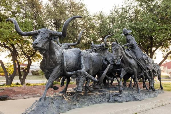 Estátua de condução de gado Longhorn em Fort Worth, Tx, EUA — Fotografia de Stock