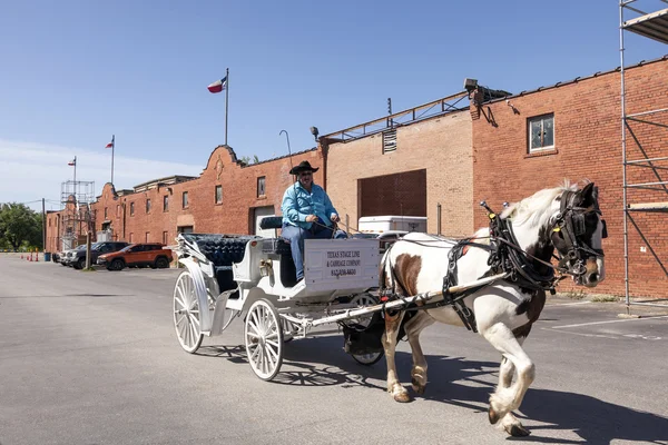 Horse driven carriage in Fort Worth, USA — Stock Photo, Image