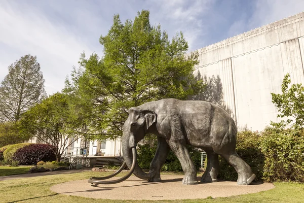 Jumbo elefanten på mässan Park, Dallas, Texas — Stockfoto