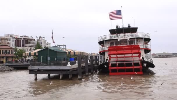 Исторический пароход "Натчез" в Новом Орлеане — стоковое видео