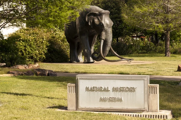 Naturkundemuseum in dallas, texas — Stockfoto