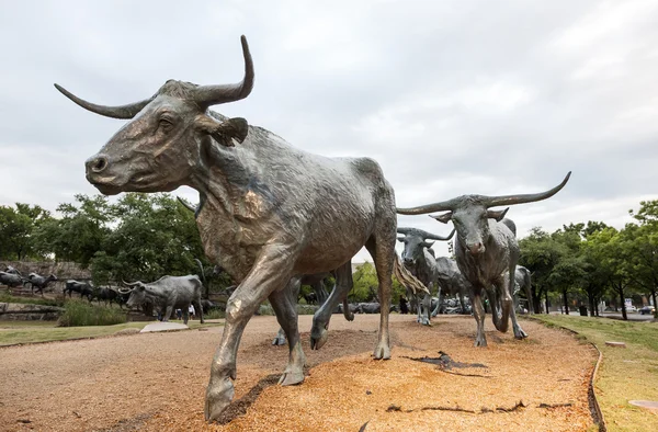 Cattle drive statue in the city of Dallas — Stock Photo, Image