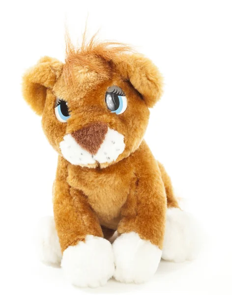 Baby Lion brinquedo macio — Fotografia de Stock