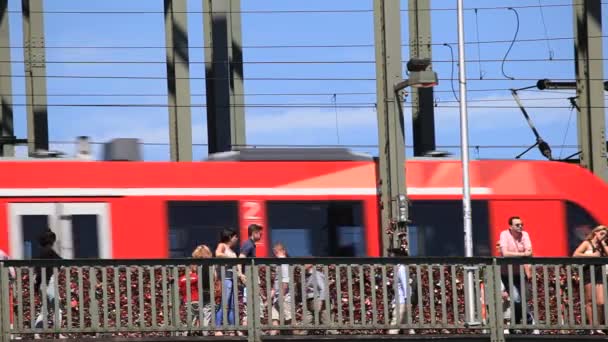 Tren en el puente de Colonia, Alemania — Vídeo de stock