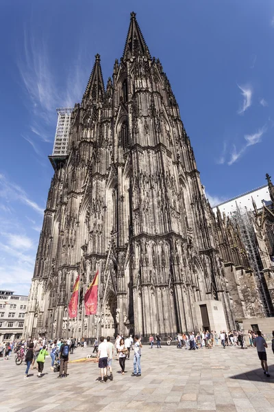 Köln Katedrali, Almanya — Stok fotoğraf