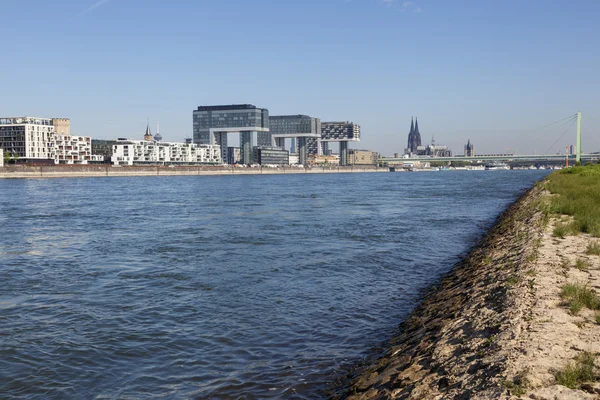 Rhine River in Cologne, Germany — Stock Photo, Image