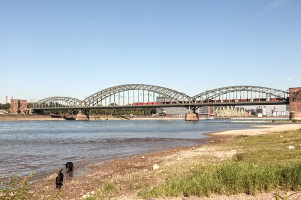 Die Südbrücke in Köln, Deutschland — Stockfoto