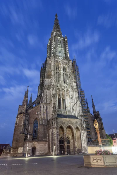 Ulm Munster por la noche, Alemania — Foto de Stock