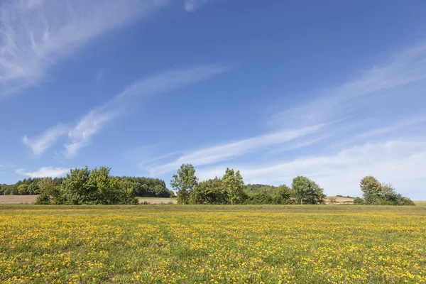 Beautiful rural landscape — Stock Photo, Image
