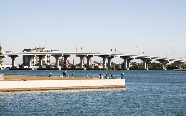 Visserij in de biscayne bay in miami, florida, usa — Stockfoto