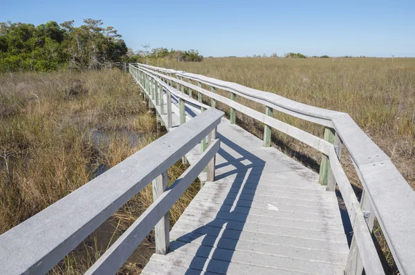 Boardwalk, át a lápvidéken everglades nemzeti park, florida, Amerikai Egyesült Államok — Stock Fotó