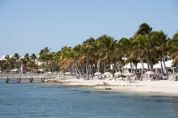 Piękny biały piasek na plaży w Key West, Floryda, Usa — Zdjęcie stockowe