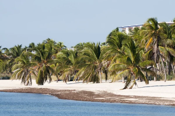 Bella spiaggia di sabbia bianca a Key West, Florida, Stati Uniti d'America — Foto Stock