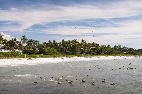 Golf van Mexico strand in Naples, Florida — Stockfoto