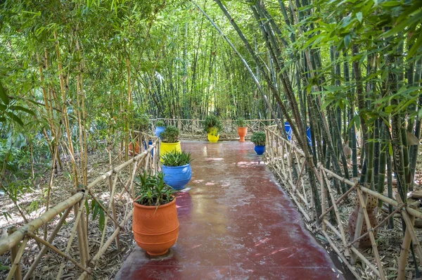 Jardins Majorelle em Marrakesh, Marrocos — Fotografia de Stock