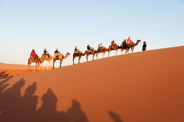 Caravana de camellos con turistas en el desierto del sahara. Marruecos, África — Foto de Stock