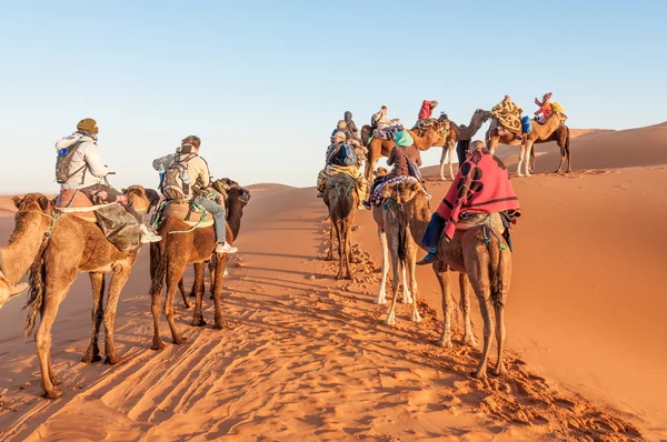 Kameel caravan met toeristen in de Saharawoestijn. Marokko, Afrika — Stockfoto