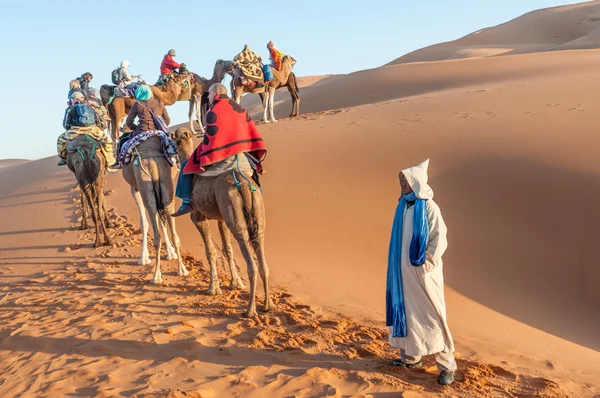 Caravana de camellos con turistas en el desierto del sahara. Marruecos, África —  Fotos de Stock