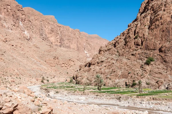 Garganta de Dades en las montañas del Atlas, Marruecos, África — Foto de Stock