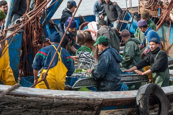 Pescadores descargando capturas en el puerto de Essaouira —  Fotos de Stock