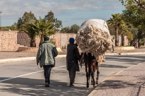 FEZ, MARRUECOS - DIC 3: Burro - un medio típico de transporte en Marruecos. 3 de diciembre de 2008 en Fez, Marruecos, África —  Fotos de Stock