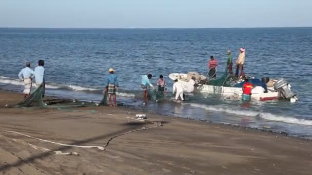 Balıkçılar, Fujairah, Birleşik Arap Emirlikleri — Stok video