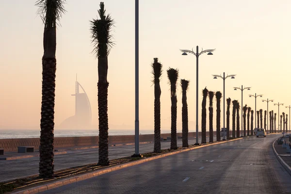 Palm trees alley at the Palm Jumeirah, Dubai, United Arab Emirates — Stock Photo, Image