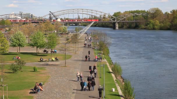 Riverwalk em Frankfurt Main, Alemania — Vídeo de Stock
