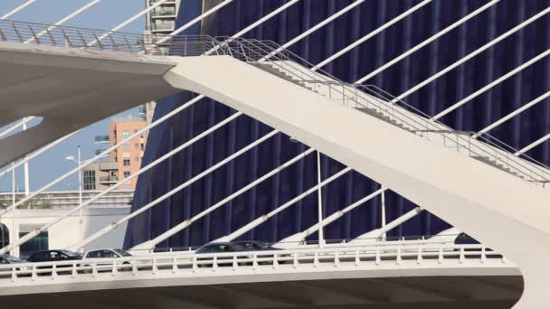 Most u města umění a věd v Valencia — Stock video