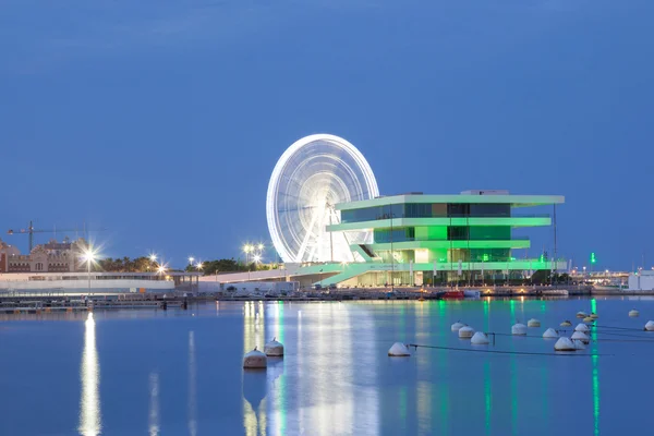 Riesenrad und americas cup building in valencia — Stockfoto