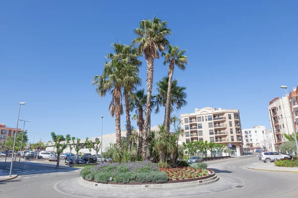 Palmbomen in miami platja, Spanje — Stockfoto