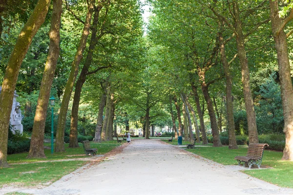 Alley in the city park in Brussels — стокове фото