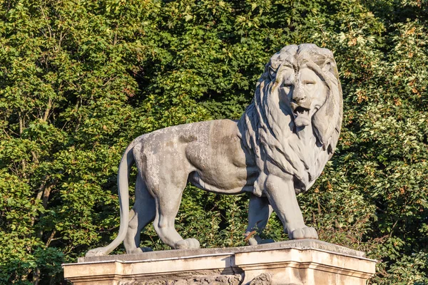 Löwenstatue in Brüssel — Stockfoto