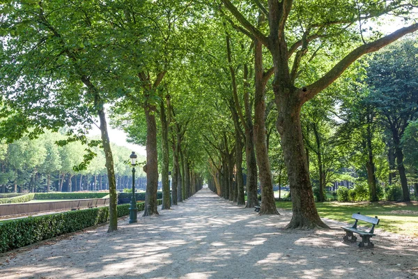 Parques em Brussels, Bélgica — Fotografia de Stock