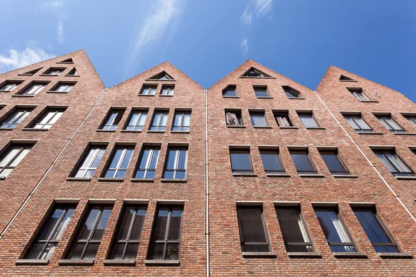Historic buildings in Antwerp, Belgium — Stok fotoğraf