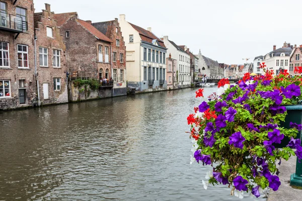 Flowers in the city of Ghent, Belgium — Stockfoto