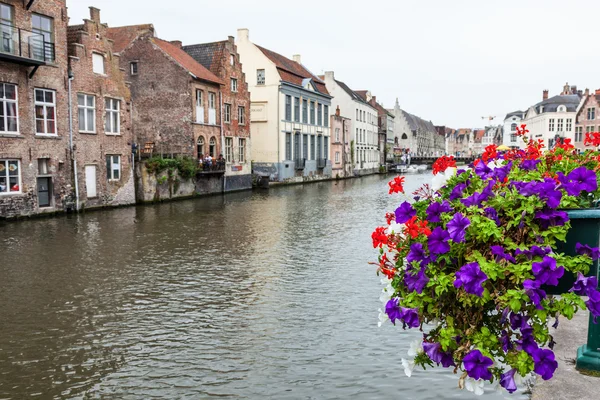 Flowers in the city of Ghent, Belgium — Stock fotografie