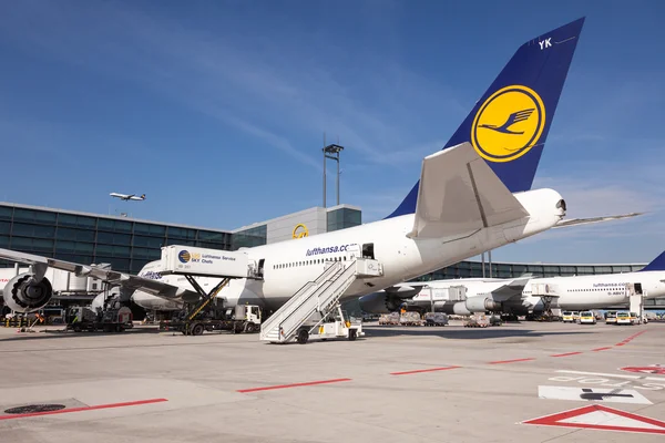 Lufthansa Boeing 747 at the Frankfurt Airport — Stock Photo, Image