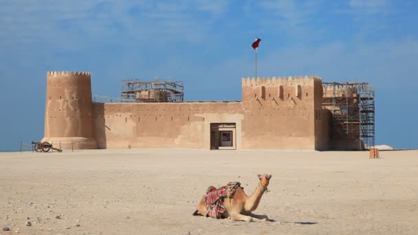 Al Zubara fort v Kataru — Stock video