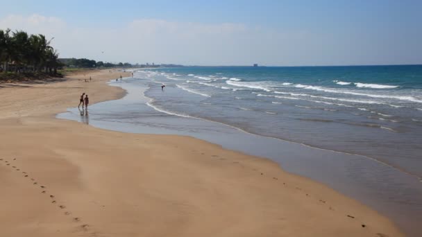 Strand in Muscat, oman — Stockvideo