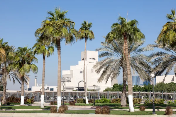 Palmiye ağaçları, Doha, Katar Corniche — Stok fotoğraf