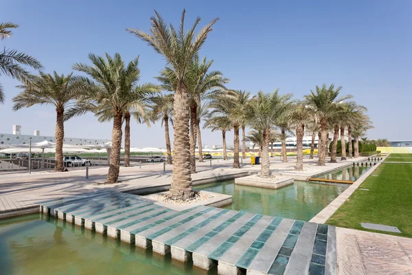 Palmen auf dem Campus in Doha, Katar — Stockfoto