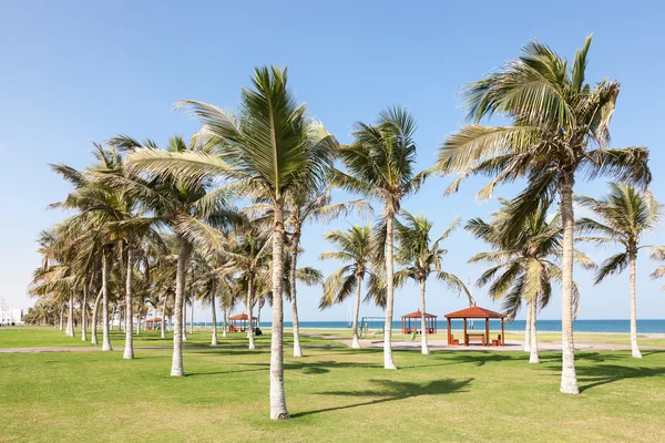 Parque en la cornisa de Seeb, Omán — Foto de Stock