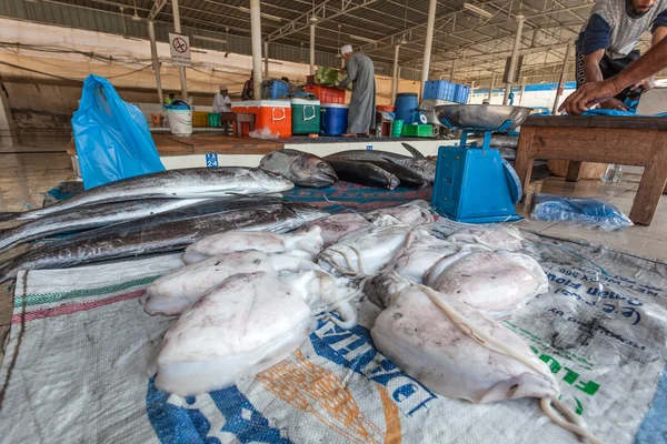 Lulas no mercado de peixe em Muttrah, Omã — Fotografia de Stock