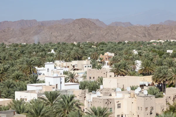 Pohled přes oázu město Nizwa, Omán — Stock fotografie