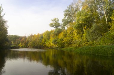 Sonbahar nehri manzarası ve kıyısı ağaçlarla kaplı