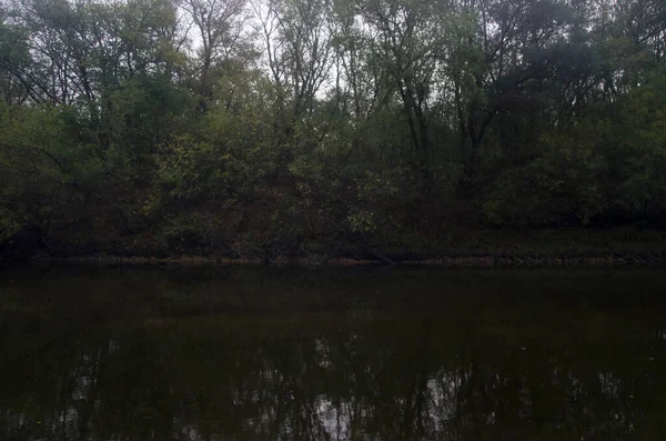 Φθινοπωρινά Δέντρα Δίπλα Στο Ποτάμι Την Αυγή — Φωτογραφία Αρχείου