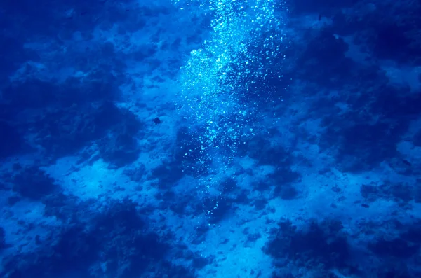 海底から空気の泡が立ち上がる ストック画像