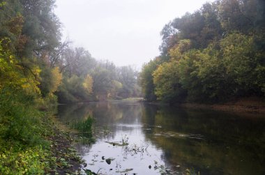 Sis içinde sonbahar nehri ve kıyıda ağaçlar. 
