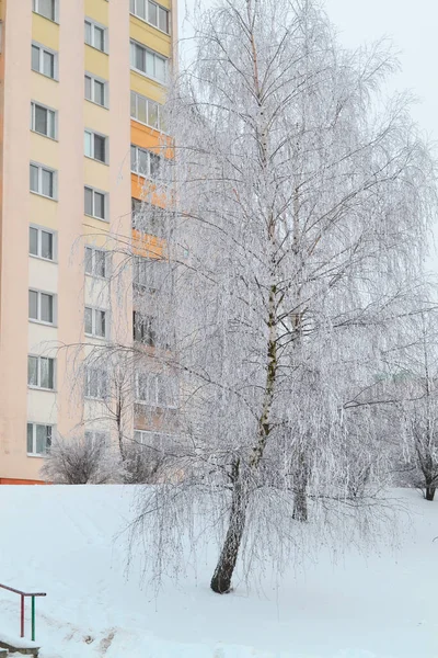 Vista através de árvores nevadas em uma cidade de inverno — Fotografia de Stock